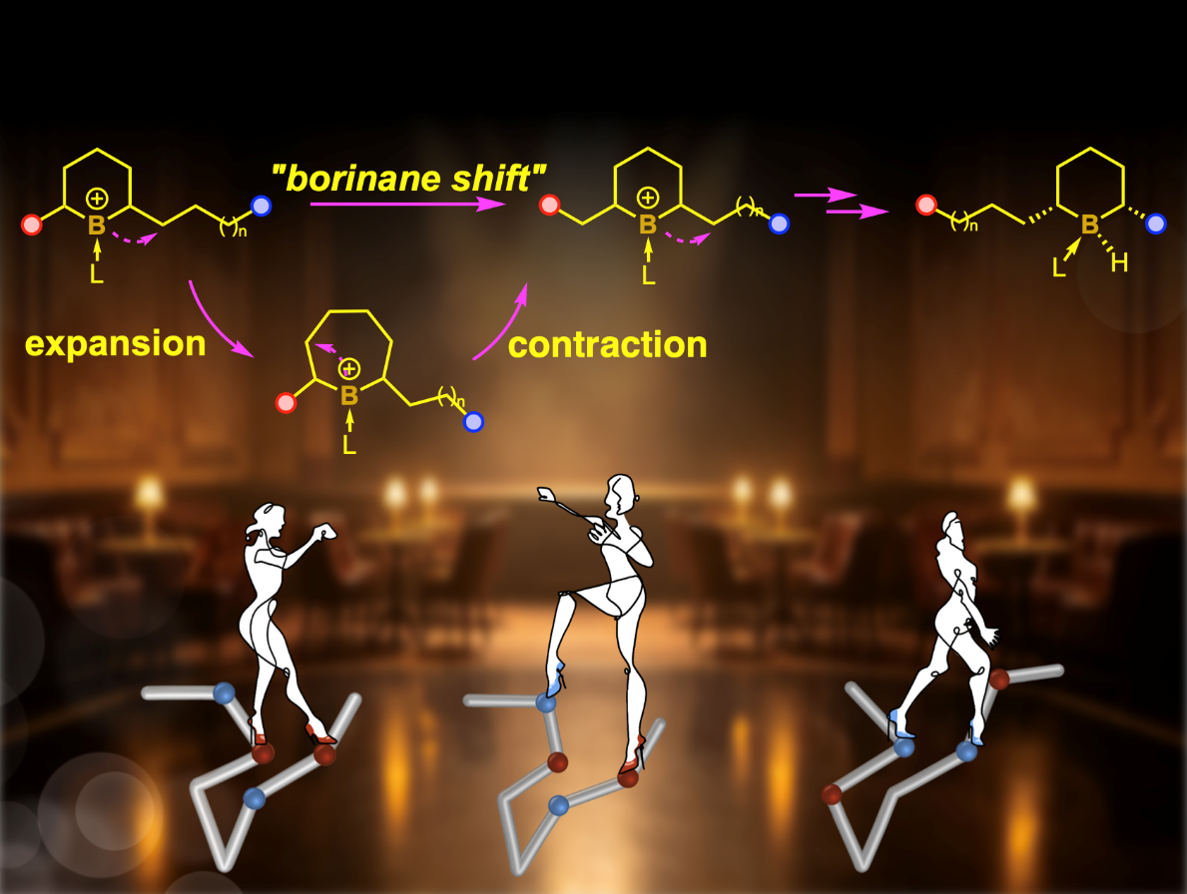 Schematic illustration of dual site migration via boracycle rearrangement